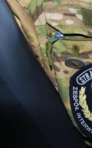 Interwencje w portach lotniczych. SG interweniowali dwukrotnie wobec agresywnego obywatela Gruzji 
